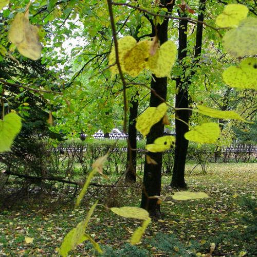 Photo #5371945