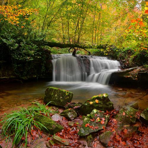 Photo #5372457