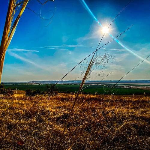 Photo #5372867