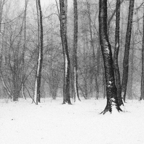 Photo #5373056