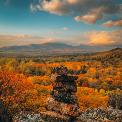 Photo #5373057