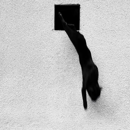 Escape From The Heart Of Darkness
