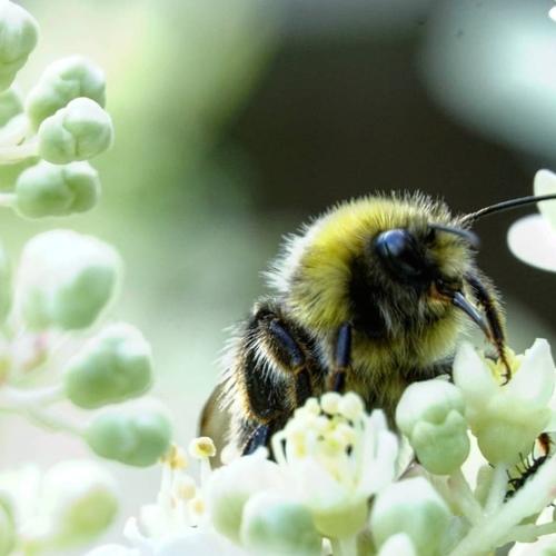 Photo #5373478