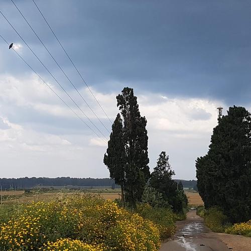 Фотография #5373688