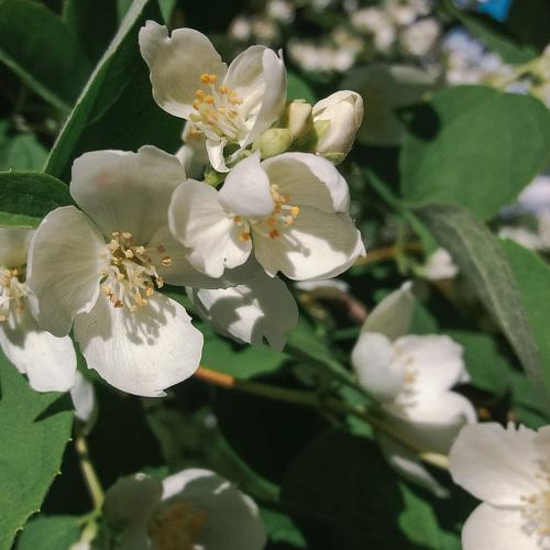 Photo #5374207