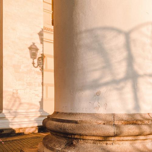 Photo #5374577