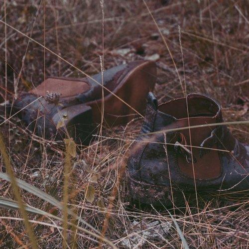 Photo #5375055