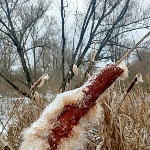 Да будет жизнь...