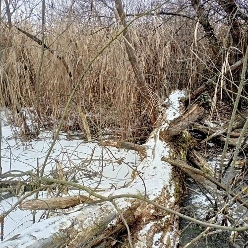 Photo #5375095