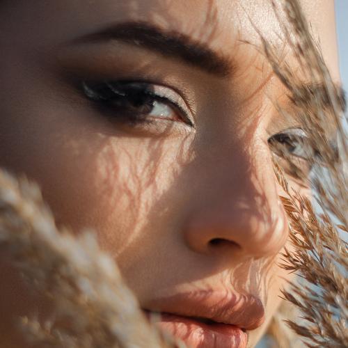 Photo #5375270