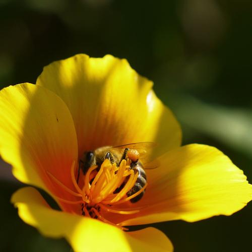 Photo #5375295