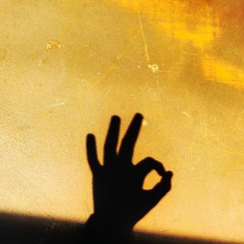 Shadow