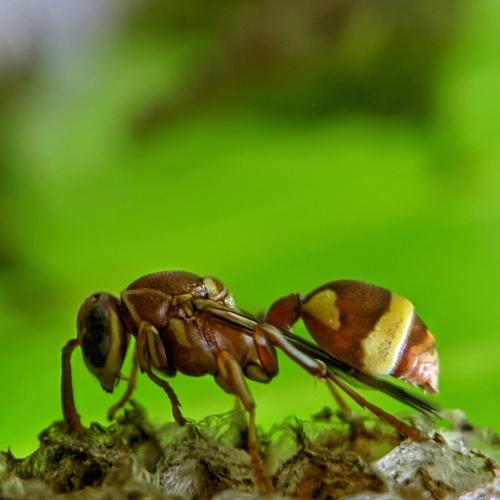 Photo #5375545