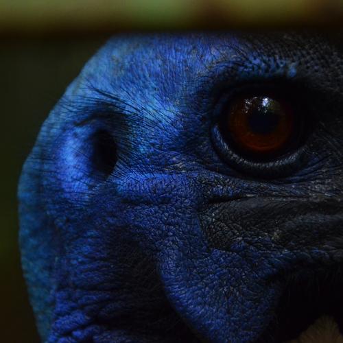 Photo #5376100