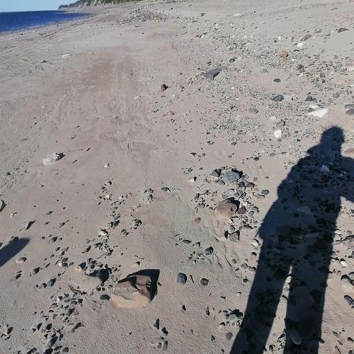 Photo #5376585