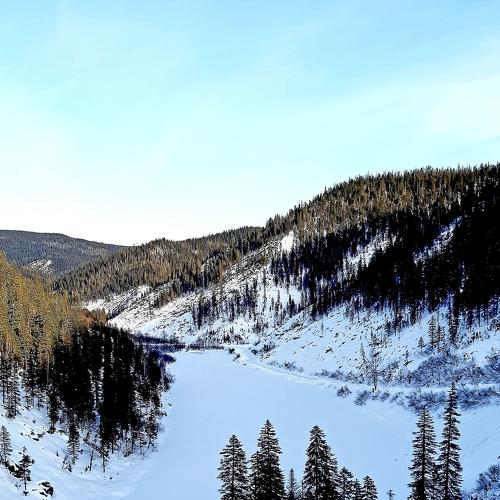 Photo #5376821