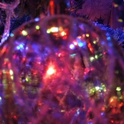 Photo #5377004