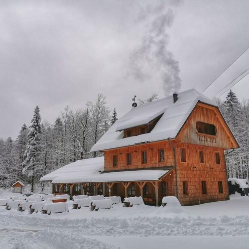 Photo #5377174