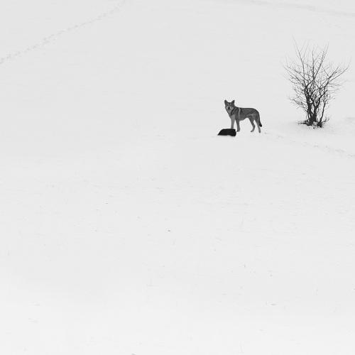Photo #5377412