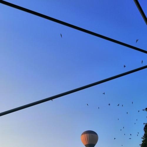 Photo #5377609