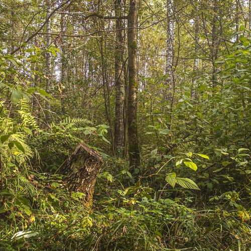 Photo #5377956