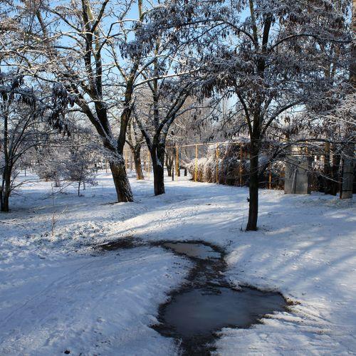 Photo #5378062