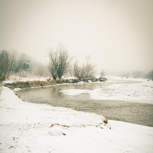 Photo #5378203