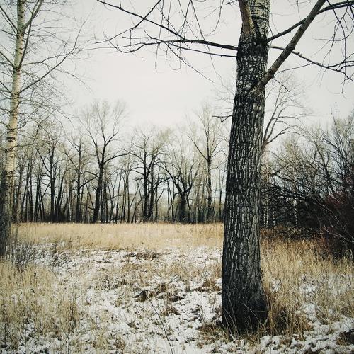 Photo #5378217