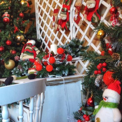 Photo #5378318