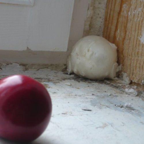 Photo #5379018