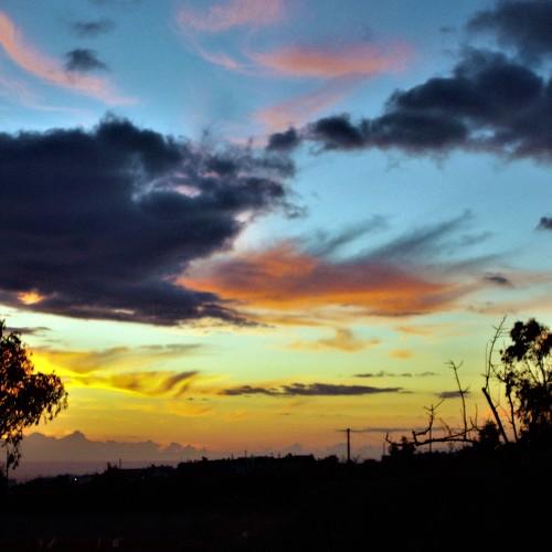 Photo #5379075