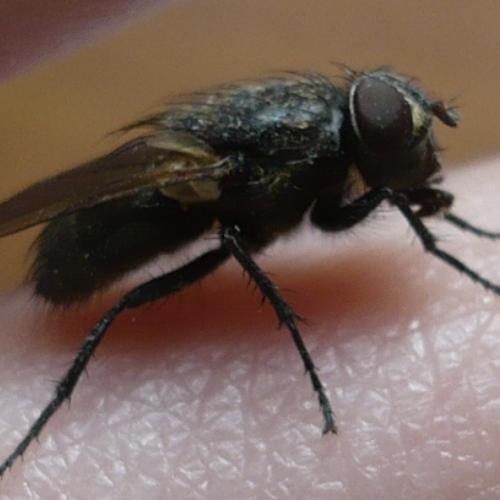 Photo #5379156