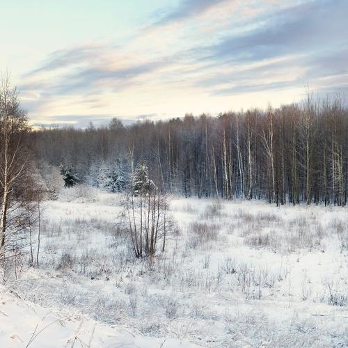 Photo #5379199