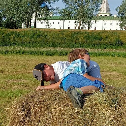 Друзья