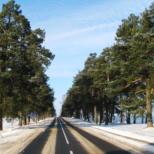 Photo #5379656