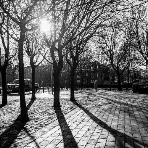 Shorter Days, Longer Shadows