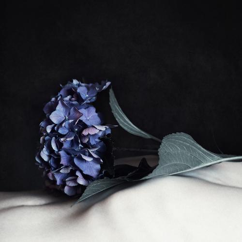 Between Spring and Death