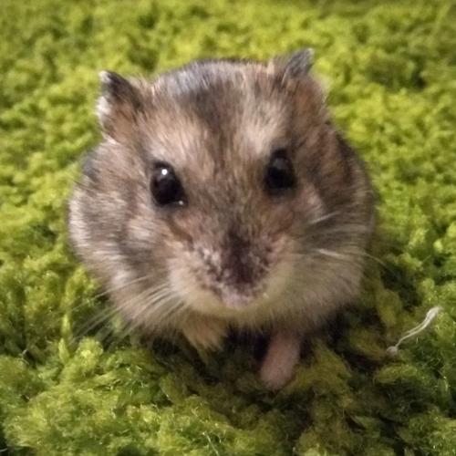 Photo #5380152