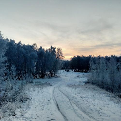Photo #5380321