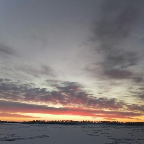 Photo #5380580