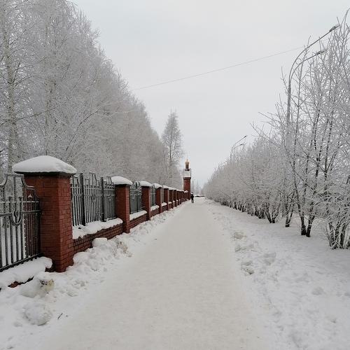 Photo #5380582