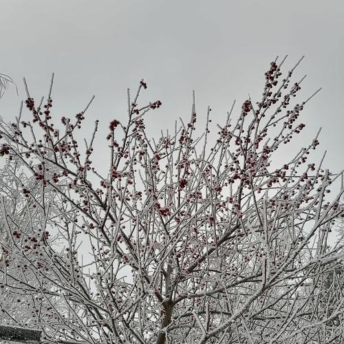 Photo #5380583