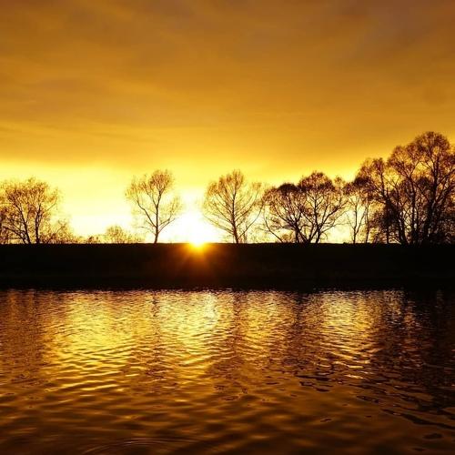 Photo #5380893