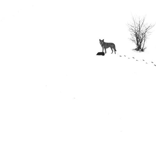 Photo #5380895