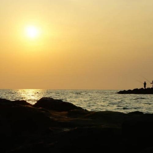 Photo #5380927