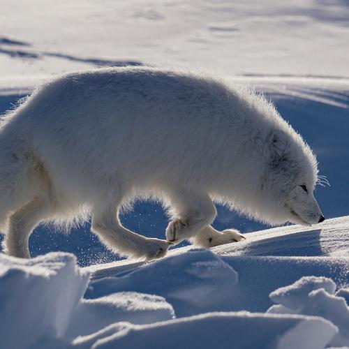 Photo #5380999
