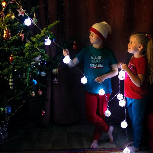 Photo #5381316