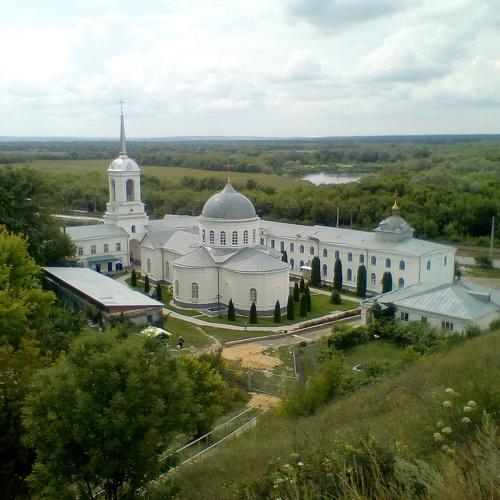 Photo #5381835