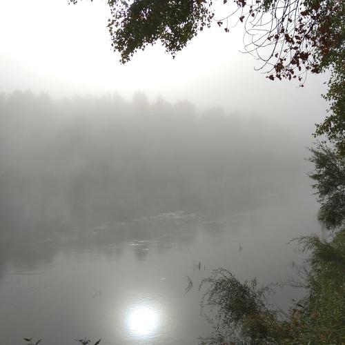 Photo #5381965