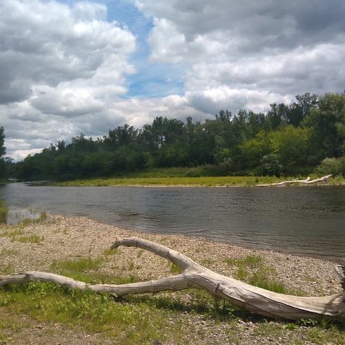 Photo #5381981